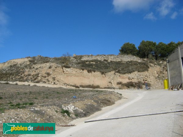 Llorac - Restes del castell d'Albió (Foto: Albert Esteves, 2010) Llorac - Restes del castell d'Albió