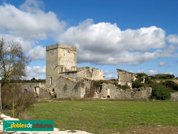 La Sala de Comalats - Castell