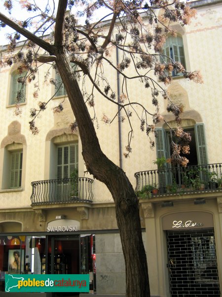 Terrassa - Casa Joan Barata