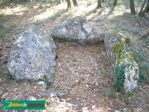 Passanant i Belltall - Cista del Pla de la Sala