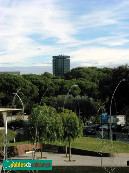 Barcelona - Torre de la Caixa, des del Campus Nord (Foto: Albert Esteves, 2010) Barcelona - Torre de la Caixa, des del Campus Nord