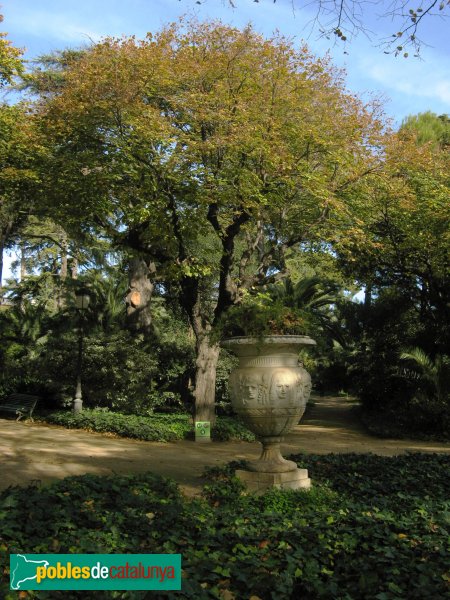 Barcelona - Jardins del Palau de Pedralbes (Foto: Albert Esteves, 2010) Barcelona - Jardins del Palau de Pedralbes