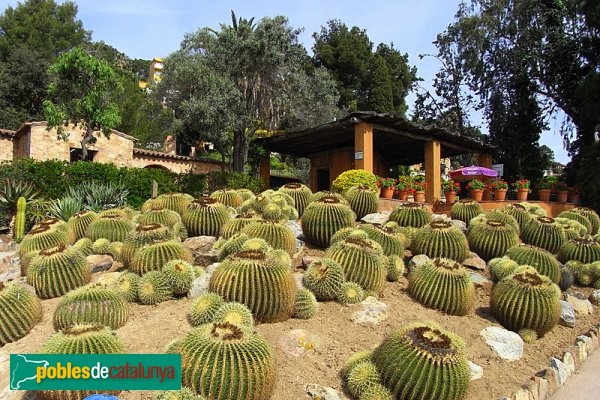 Jardí botànic Pinya de Rosa