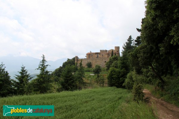 Arbúcies - Castell d'en Roca