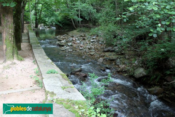 Sant Hilari Sacalm - La riera al seu pas pel costat de la Font Picant