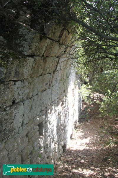 Susqueda - Castell de Fornils (Foto: Albert Esteves, 2011) Susqueda - Castell de Fornils