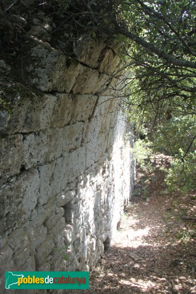 Susqueda - Castell de Fornils