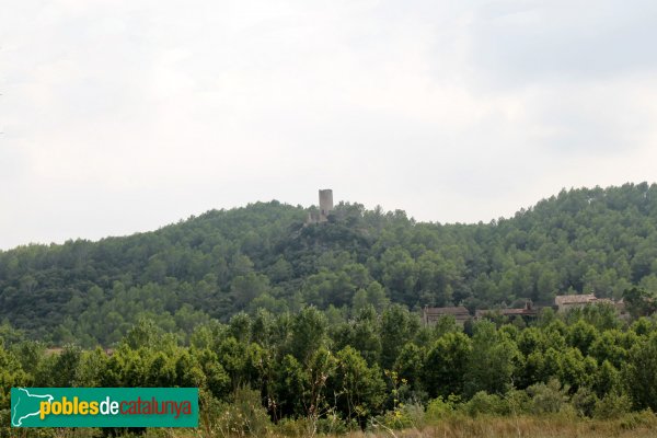 Les Escaules - Castell (Foto: Albert Esteves, 2011) Les Escaules - Castell