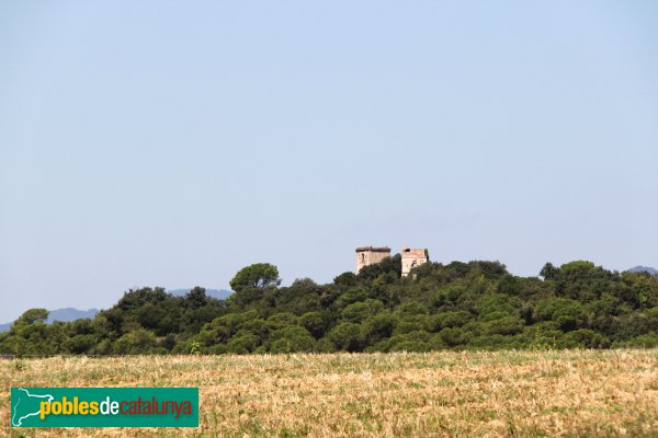 Riudarenes - Torres de Puigsardina