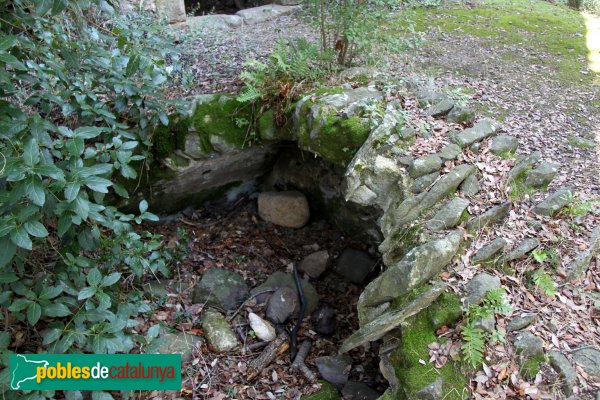 Riudarenes - Castell de l´Esparra, possible cisterna