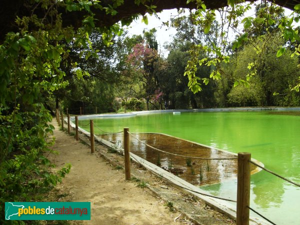 Arenys de Munt - Can Jalpí, estany