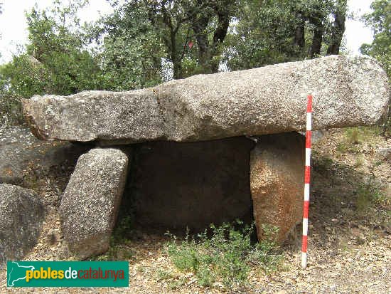 Capmany - Dolmen del Quer Afumat