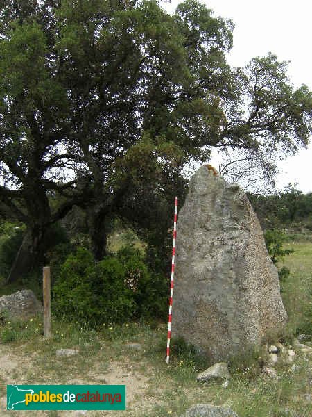 Capmany - Menhir del Quer Afumat I J