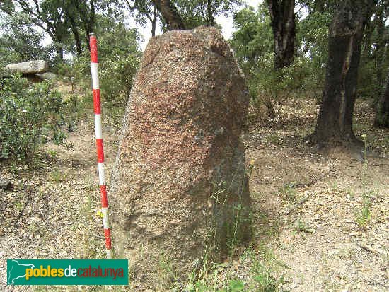 Capmany - Menhir del Quer Afumat II J