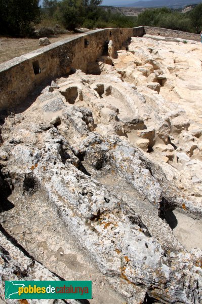 Olèrdola - Necròpolis (Foto: Albert Esteves, 2012) Olèrdola - Necròpolis