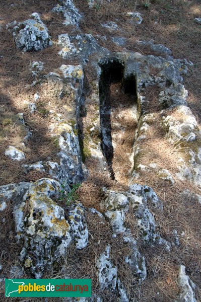 Olèrdola - Necròpolis del Pla dels Albats (Foto: Albert Esteves, 2012) Olèrdola - Necròpolis del Pla dels Albats