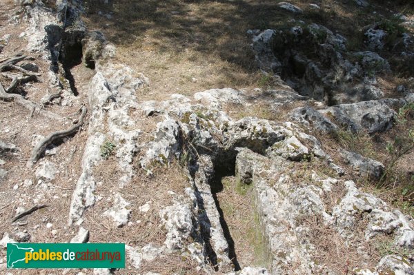 Olèrdola - Necròpolis del Pla dels Albats (Foto: Albert Esteves, 2012) Olèrdola - Necròpolis del Pla dels Albats