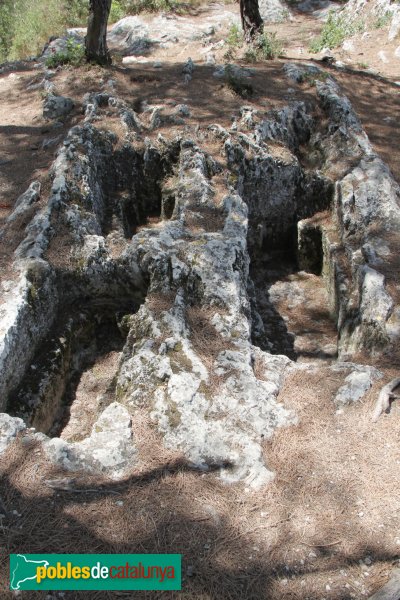 Olèrdola - Necròpolis del Pla dels Albats (Foto: Albert Esteves, 2012) Olèrdola - Necròpolis del Pla dels Albats