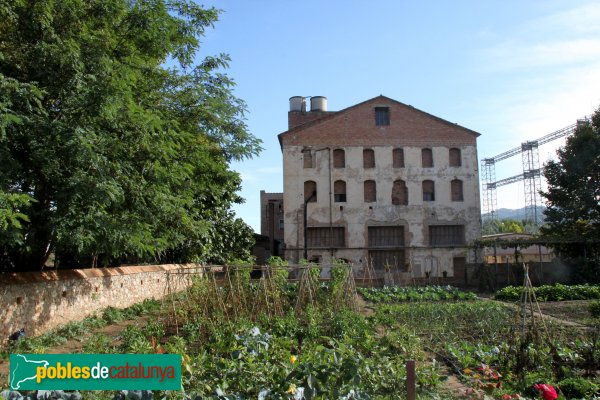 Molí de Can Bosc