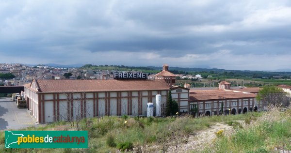 Sant Sadurní d'Anoia - Caves Freixenet