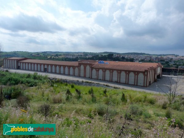 Sant Sadurní d'Anoia - Caves Freixenet