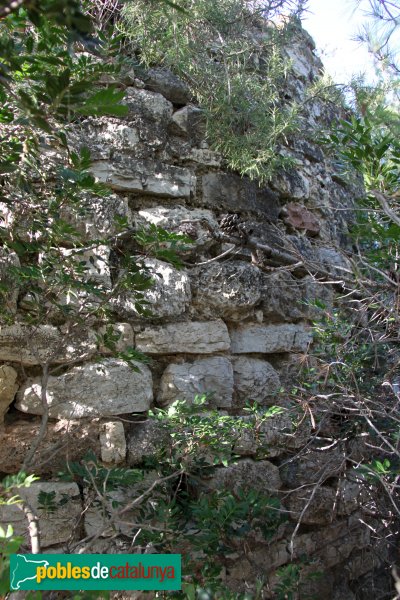 Font-rubí - Sant Andreu de l´Avellà