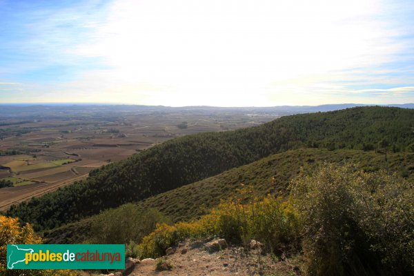 Castellví de la Marca - Panoràmica des del Castellvell