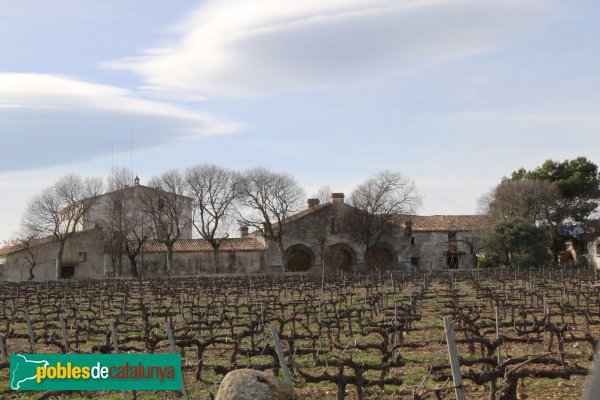 Santa Margarida i els Monjos - Celler de la Riba (Foto: Albert Esteves, 2014) Santa Margarida i els Monjos - Celler de la Riba