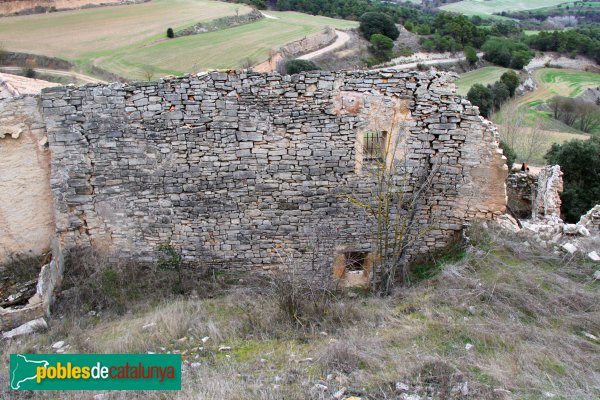 Ribera d'Ondara - Montlleó (Foto: Albert Esteves, 2014) Ribera d'Ondara - Montlleó