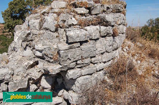 Ribera d'Ondara - Ruïnes de Montpaó