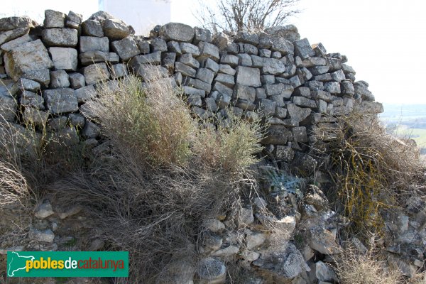 Ribera d'Ondara - Ruïnes del castell de Rubinat