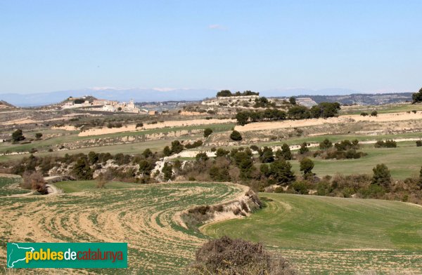 Ribera d'Ondara - Rubinat, de lluny, amb el turó a mà esquerra