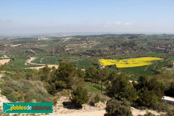 Montoliu - Panoràmica des del Castell de la Guàrdia Lada