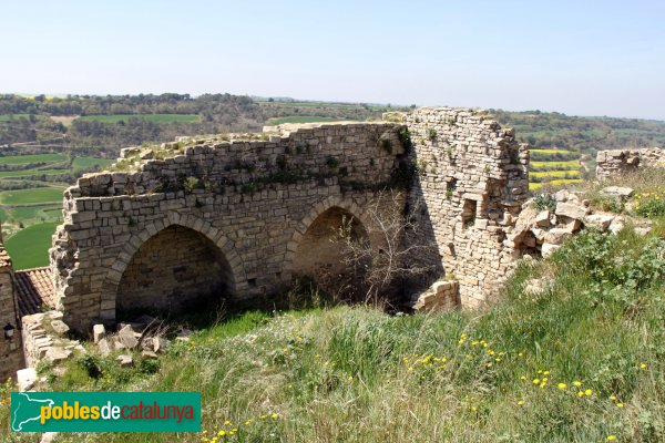 Montoliu - Castell de Montoliu (Foto: Albert Esteves, 2014) Montoliu - Castell de Montoliu