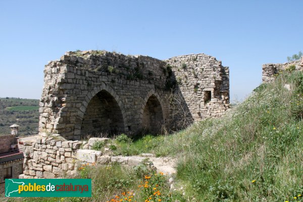 Montoliu - Castell de Montoliu (Foto: Albert Esteves, 2014) Montoliu - Castell de Montoliu