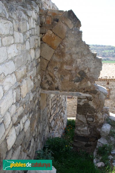 Montoliu - Castell de Montoliu (Foto: Albert Esteves, 2014) Montoliu - Castell de Montoliu
