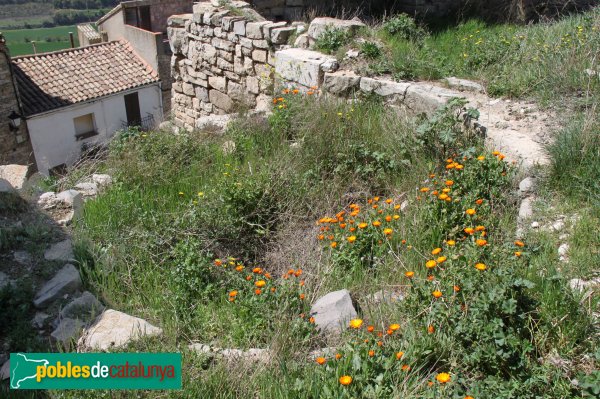 Montoliu - Castell de Montoliu (Foto: Albert Esteves, 2014) Montoliu - Castell de Montoliu