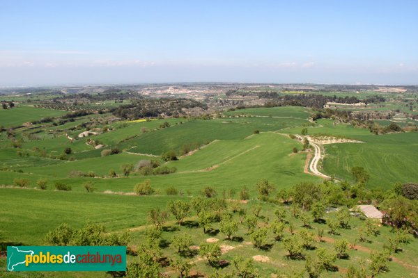 Montoliu - Panoràmica des del Castell de l'Ametlla