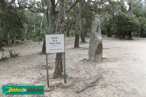 Maçanet de Cabrenys - Pedra Dreta