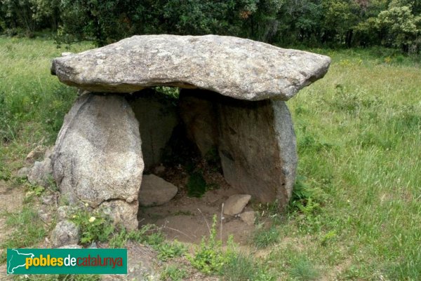 Darnius - Dolmen de Puig Caneres