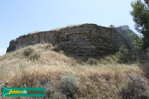 Granyena de Segarra - Castell