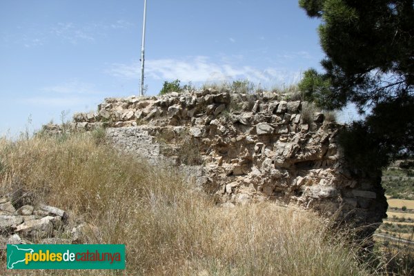 Montornès de Segarra - Castell