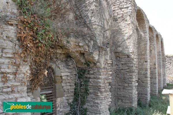 Cervera - Església de Sant Domènec