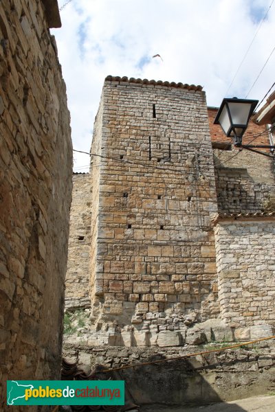 Cervera - Castell de Castellnou d'Oluges