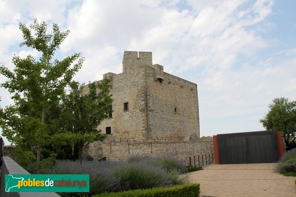 Cervera - Castell de Malgrat