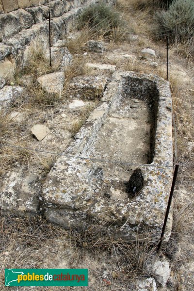 Cervera - Sant Miquel de Tudela, tomba antropomòrfica