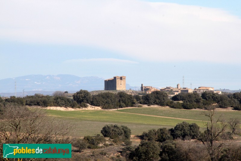 Plans de Sió - Castell de Montcortès