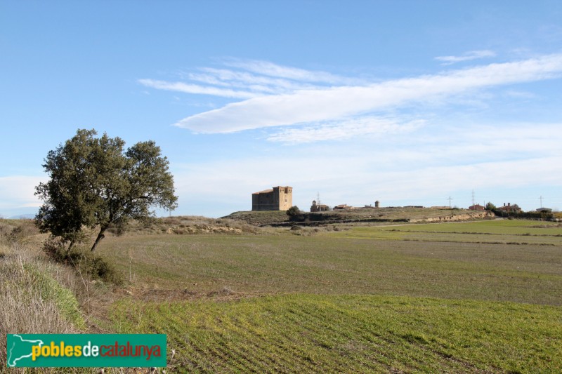 Plans de Sió - Castell de Montcortès