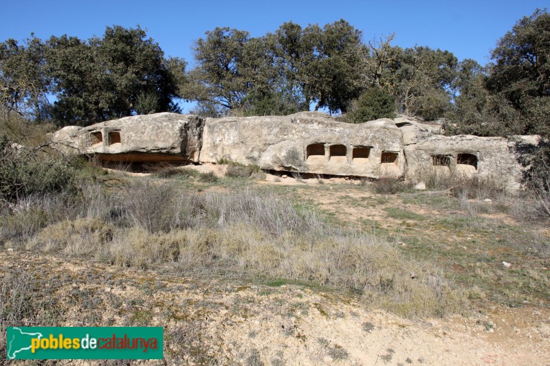 Plans de Sió - Columbari romà de l'Aranyó