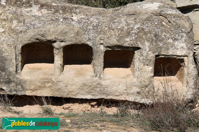 Plans de Sió - Columbari romà de l'Aranyó